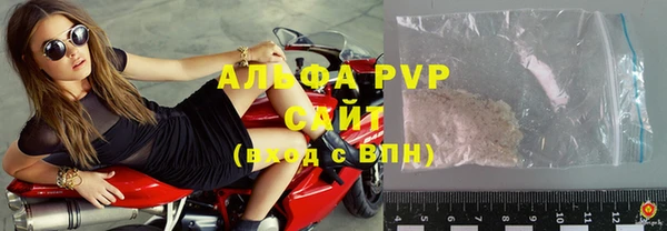 СК Аркадак