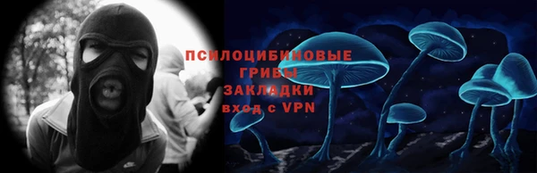 СК Аркадак