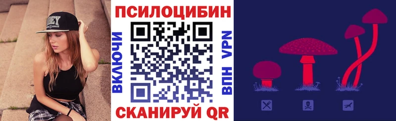 Галлюциногенные грибы Cubensis  Купить  Биробиджан 