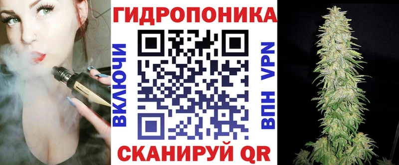 Купить закладки  Биробиджан  Конопля сатива 